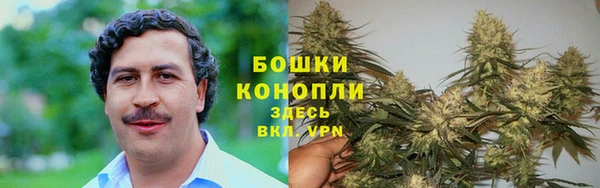 спайс Алзамай