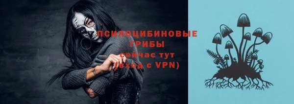 спайс Алзамай