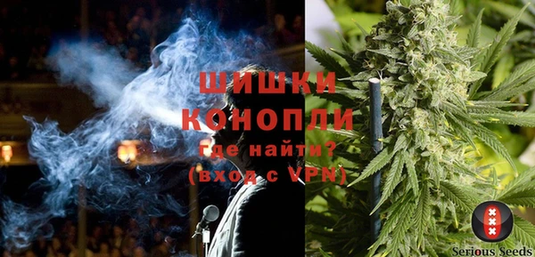 спайс Алзамай