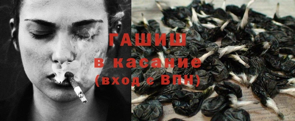 гидра Алексеевка