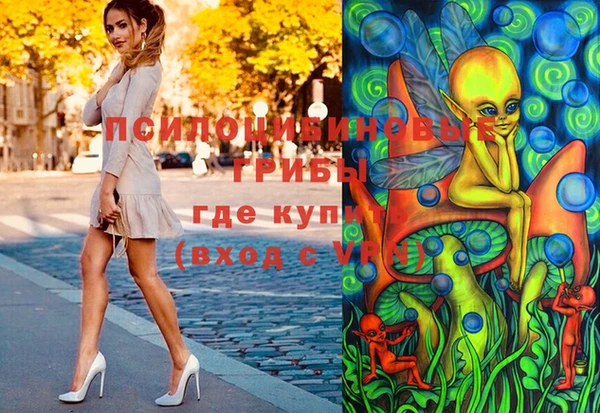 гидра Алексеевка
