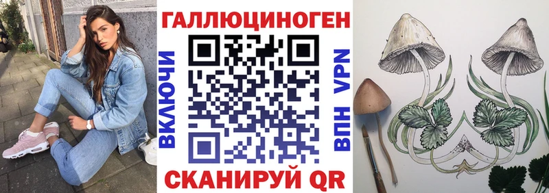 Псилоцибиновые грибы мицелий Алупка